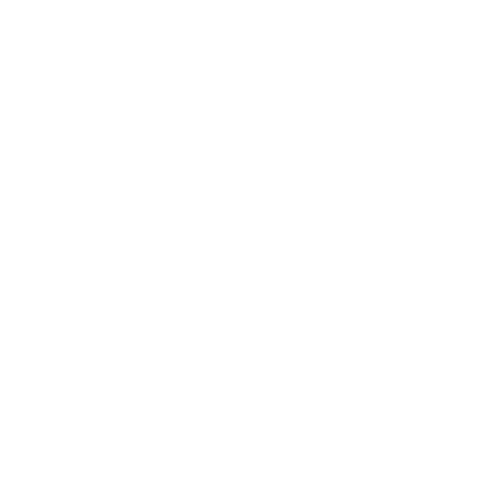 TheCityRun