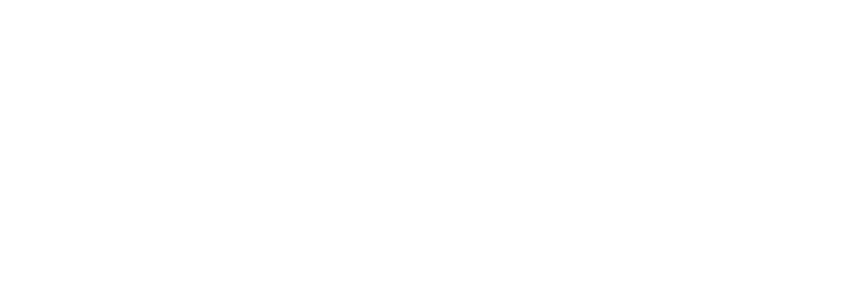TheCityRun